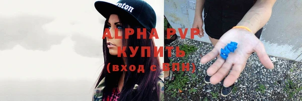 трава Аркадак