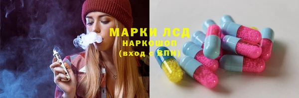 трава Аркадак