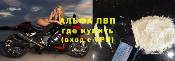 трава Аркадак